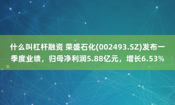 什么叫杠杆融资 荣盛石化(002493.SZ)发布一季度业绩，归母净利润5.88亿元，增长6.53%