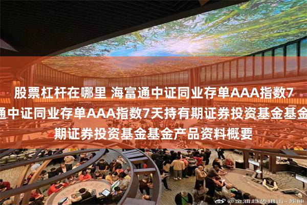 股票杠杆在哪里 海富通中证同业存单AAA指数7天持有: 海富通中证同业存单AAA指数7天持有期证券投资基金基金产品资料概要