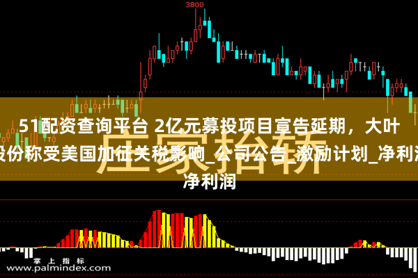 51配资查询平台 2亿元募投项目宣告延期，大叶股份称受美国加征关税影响_公司公告_激励计划_净利润