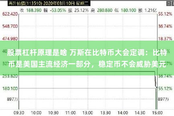 股票杠杆原理是啥 万斯在比特币大会定调：比特币是美国主流经济一部分，稳定币不会威胁美元