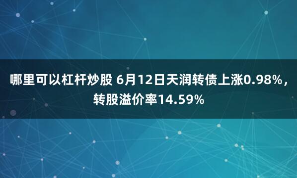 哪里可以杠杆炒股 6月12日天润转债上涨0.98%，转股溢价率14.59%