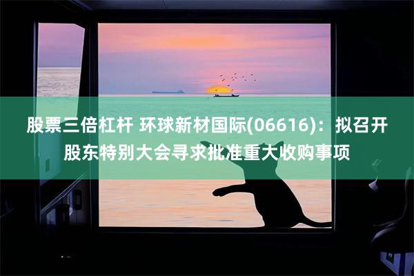 股票三倍杠杆 环球新材国际(06616)：拟召开股东特别大会寻求批准重大收购事项